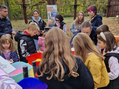 A természet és a közös örökség jegyében – Somogy a Miraculous Forest Festivalon