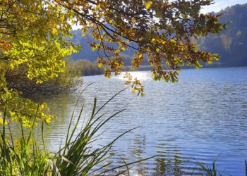Töröcskei tó (fotó: Deák Márti)